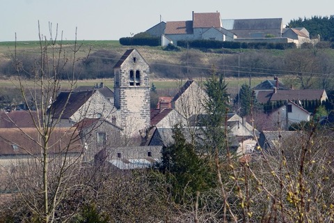 Élagueur Abbéville-la-Rivière