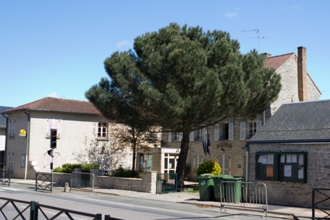 Élagueur Boissy-le-Cutté