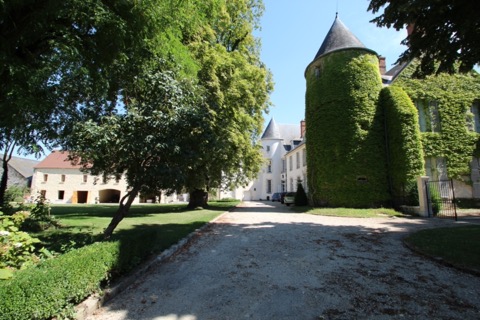 Élagueur Boissy-le-Sec