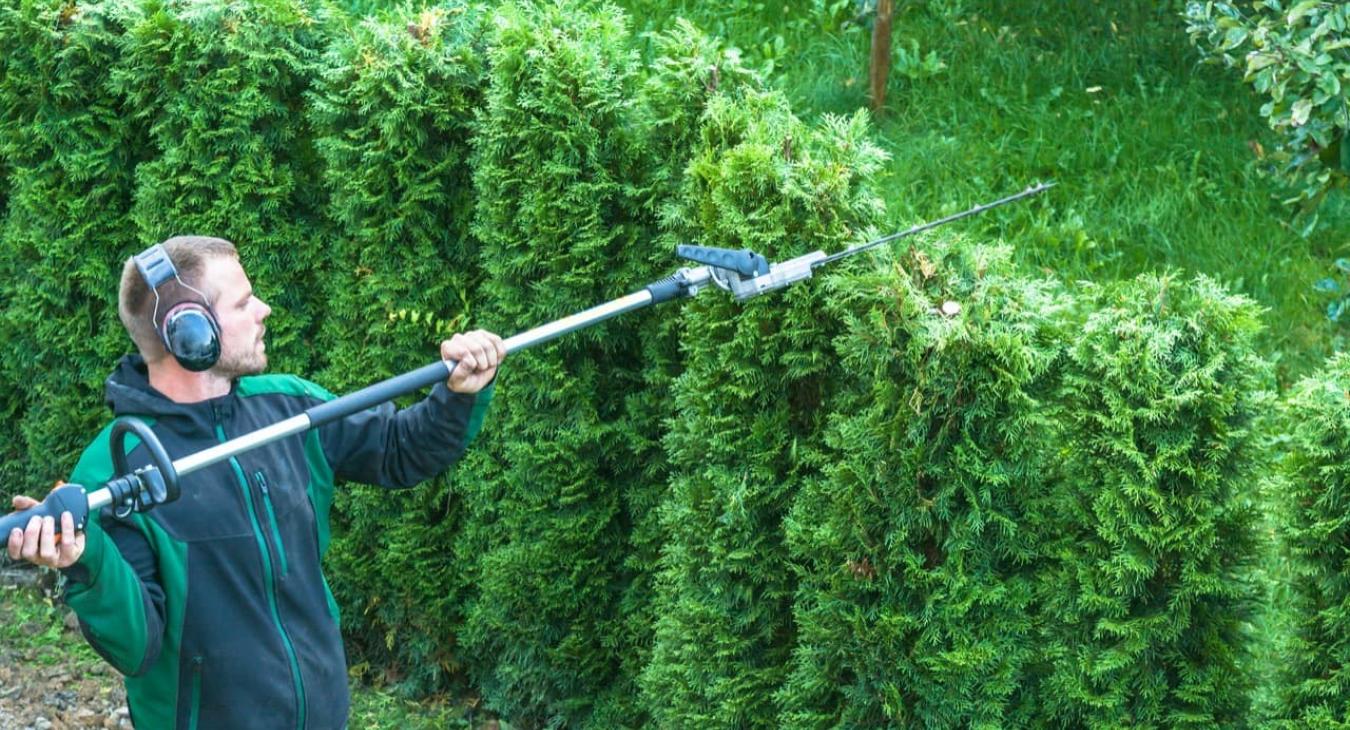 Taille de haies & Débroussaillage dans le 91 Essonne