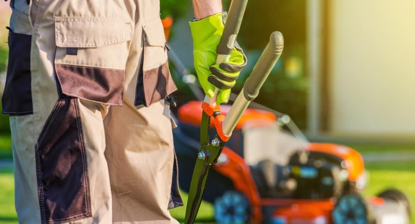 Paysagiste - Création de jardins & plantations 91 Essonne