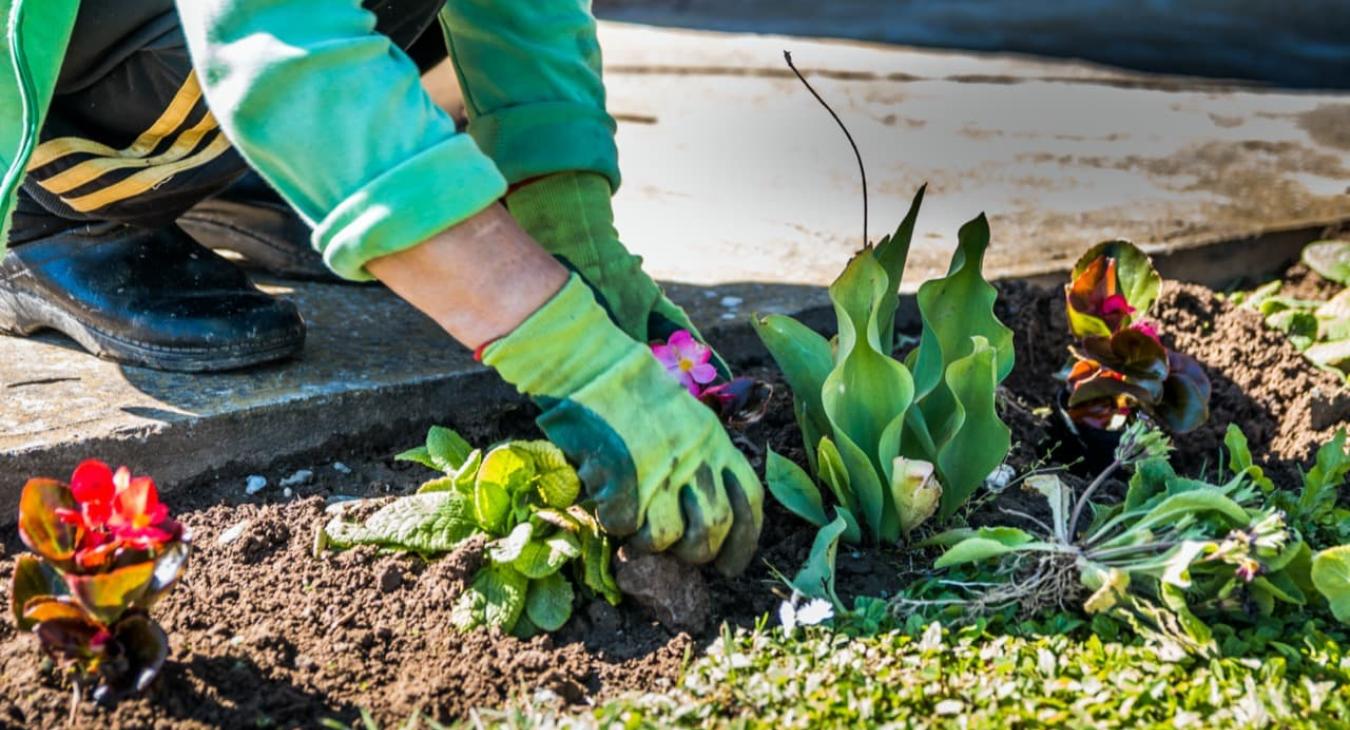 Paysagiste - Création de jardins & plantations 91 Essonne