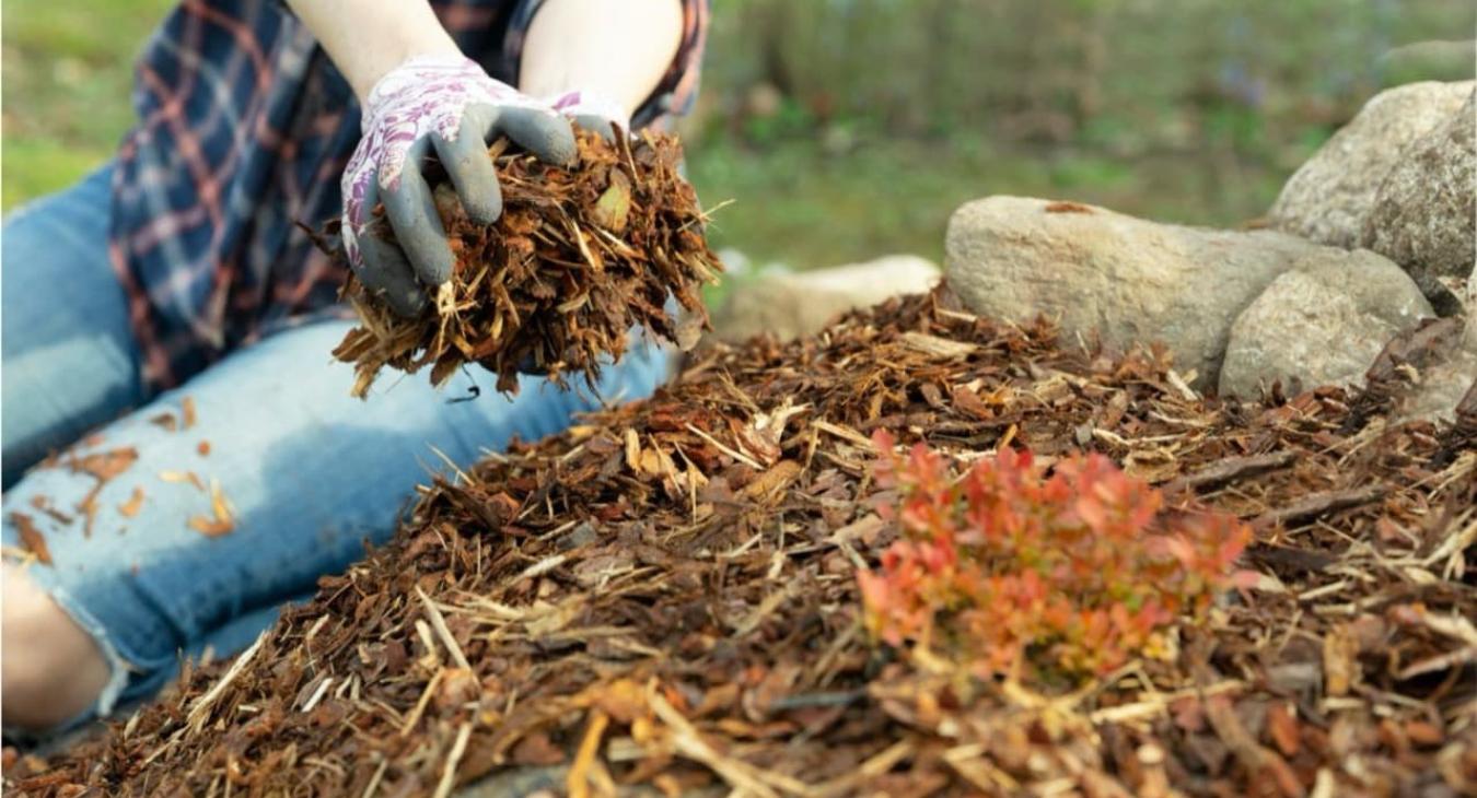 Broyage de branches & Gestion des déchets verts 91 Essonne